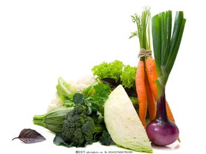 蔬菜 唯美 美食 美味 食物 食品 营养 健康 原料 胡萝卜 洋葱